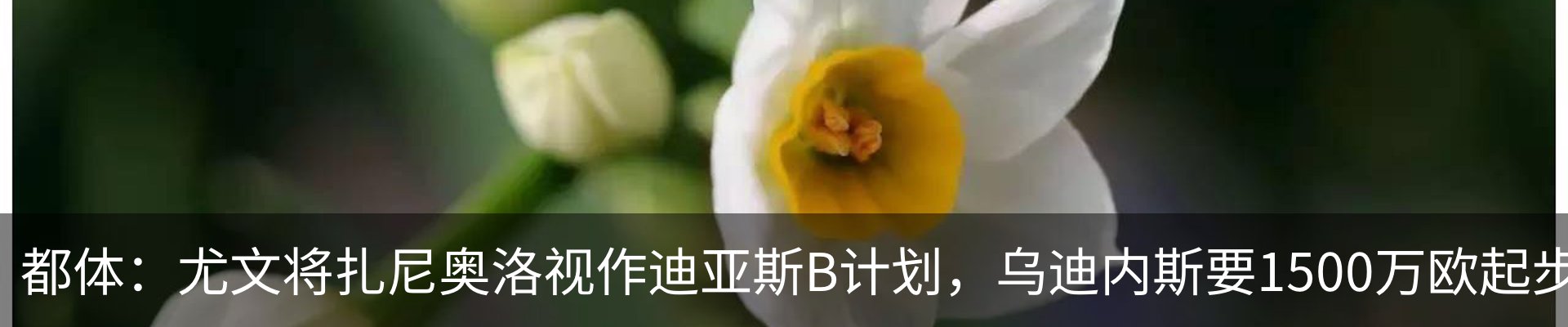 资讯动态