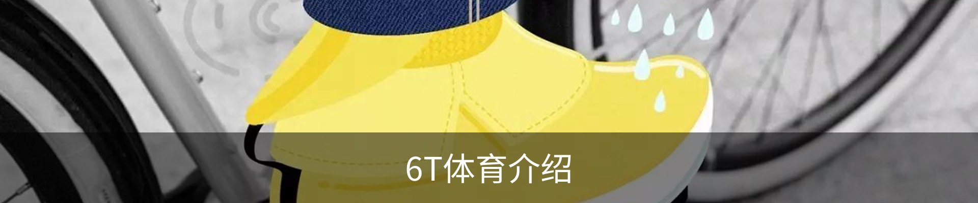 6T体育介绍